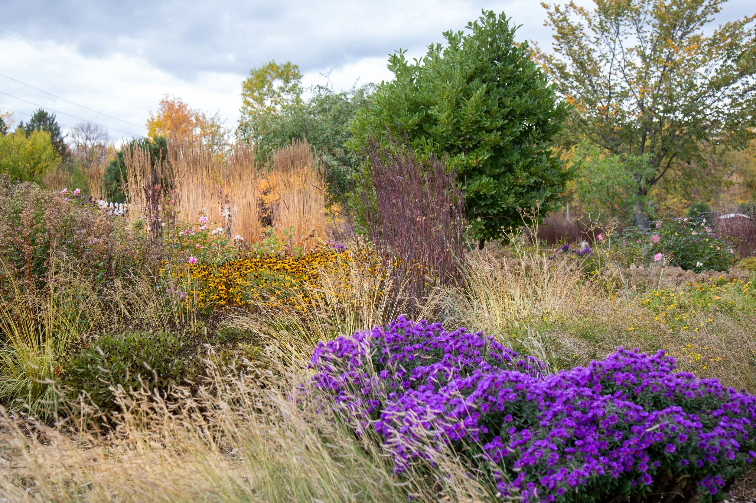 Test Garden — Kelly D. Norris